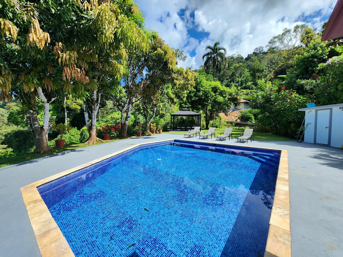 Lovely Ocean view from the Cloud Forest