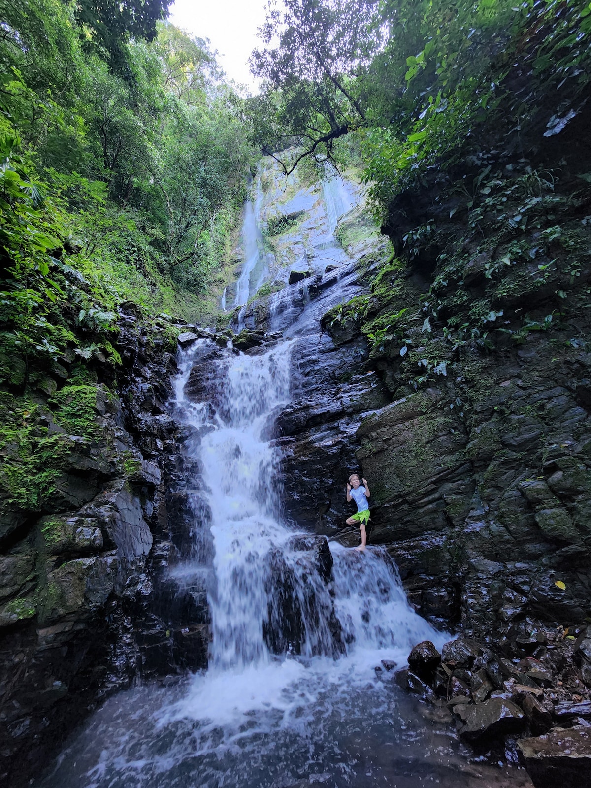 Lovely Ocean view from the Cloud Forest