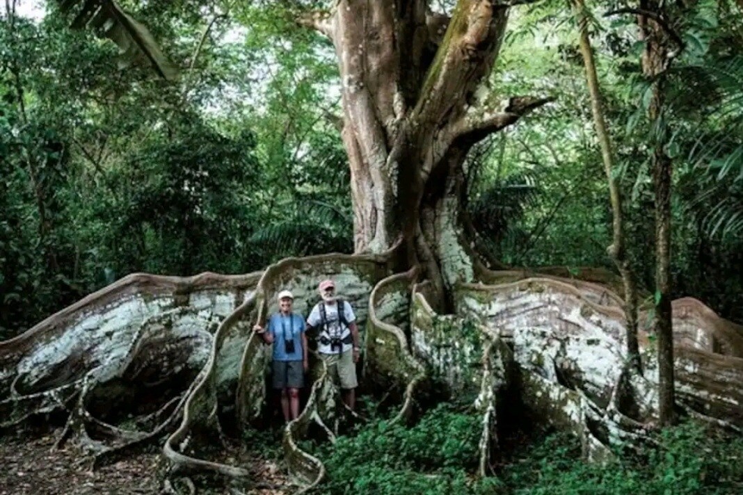 Lovely Ocean view from the Cloud Forest
