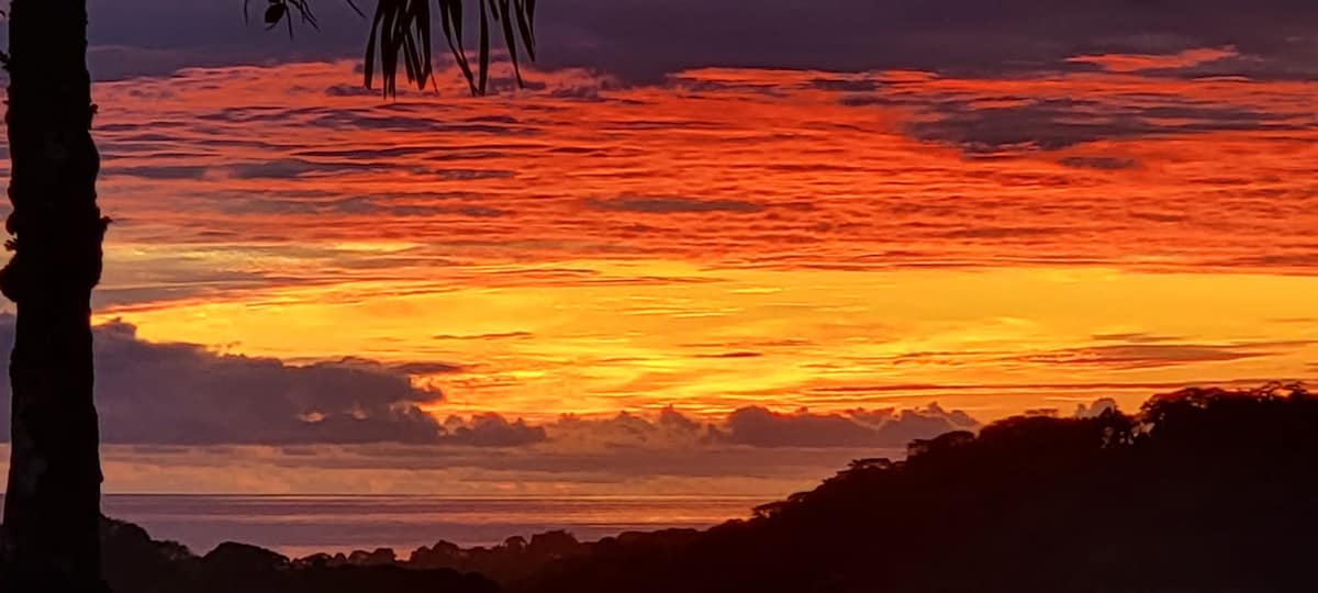 Lovely Ocean view from the Cloud Forest