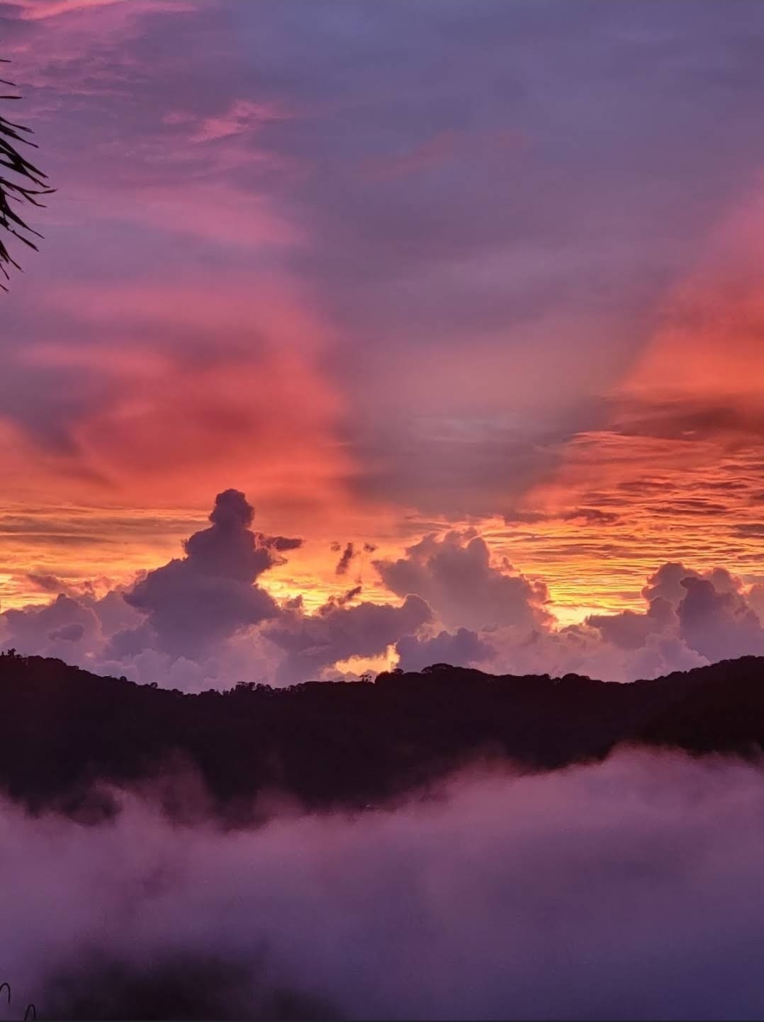 Lovely Ocean view from the Cloud Forest