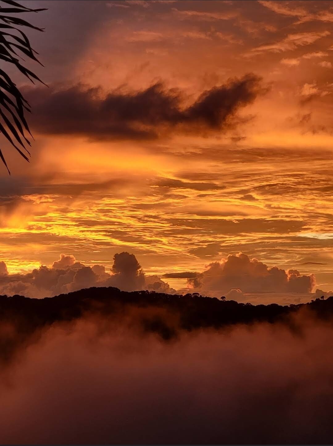 Lovely Ocean view from the Cloud Forest