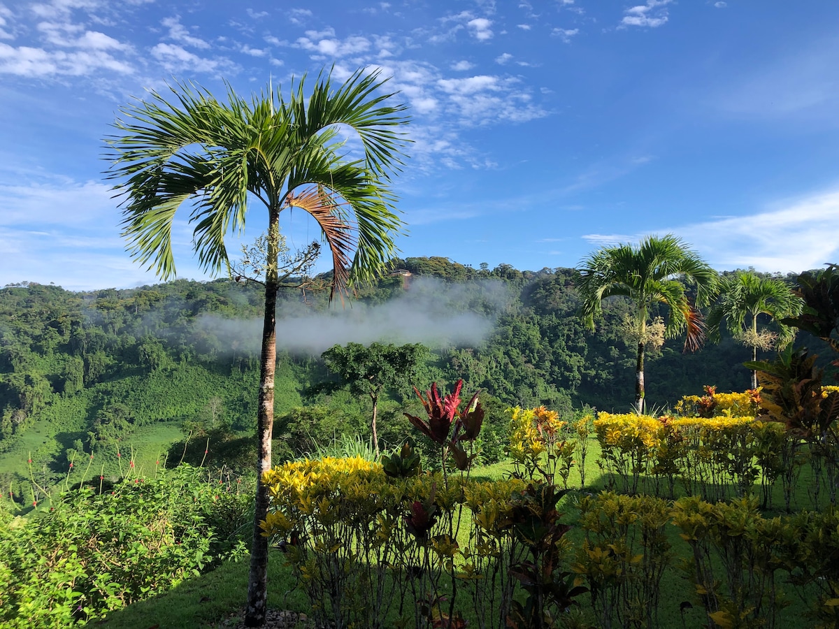 Lovely oasis overlooking the Jungle and sea
