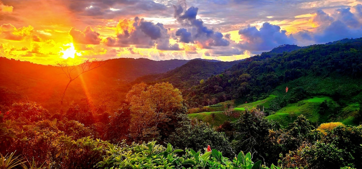 Lovely ocean view in the colorful cloud forest