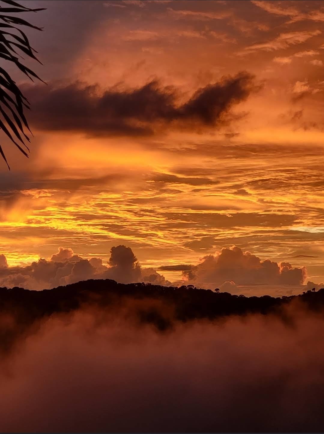 Lovely ocean view in the colorful cloud forest