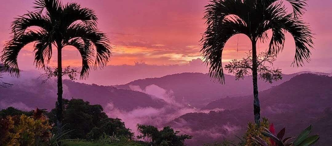 Lovely ocean view in the colorful cloud forest