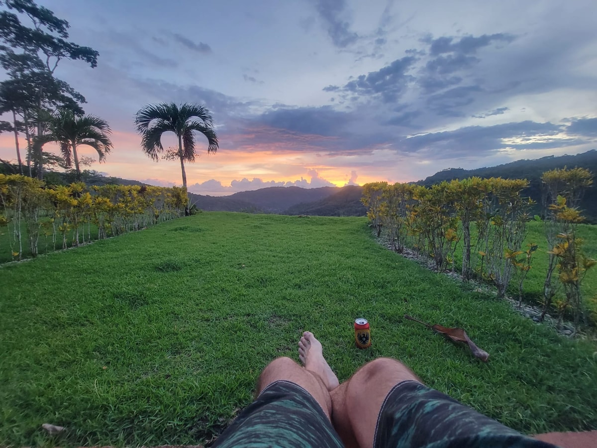 lovely Jungle Stay with Ocean View