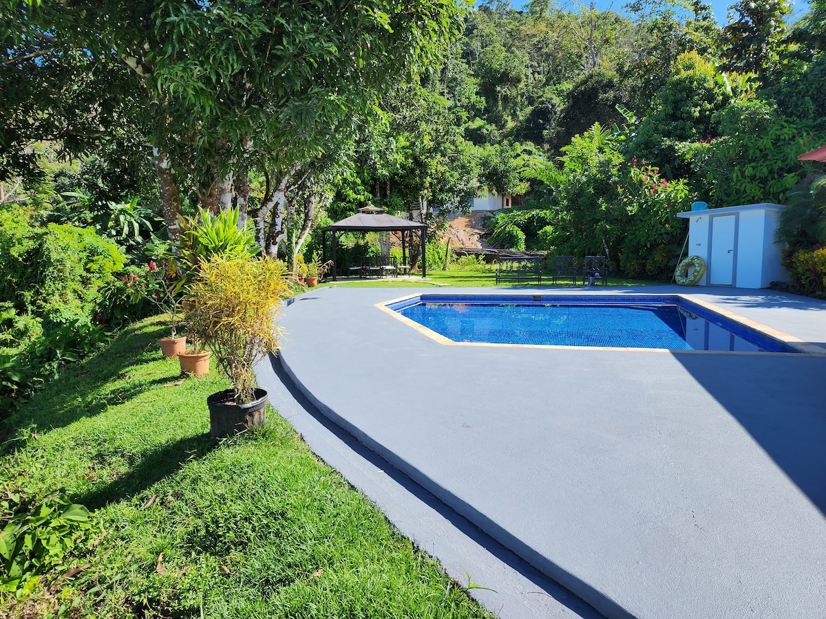 lovely Jungle Stay with Ocean View