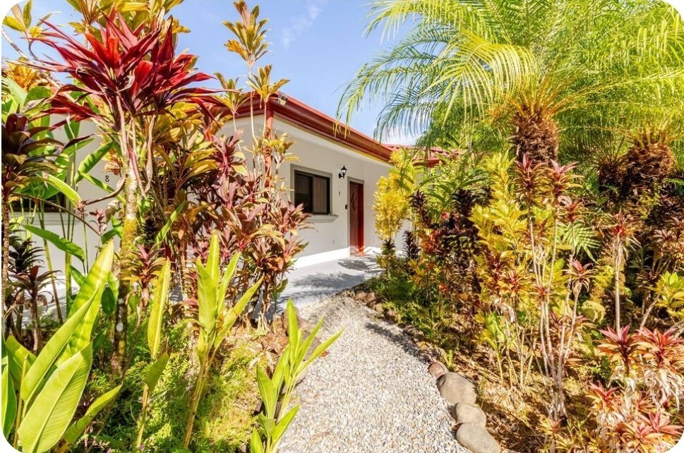lovely Jungle Stay with Ocean View