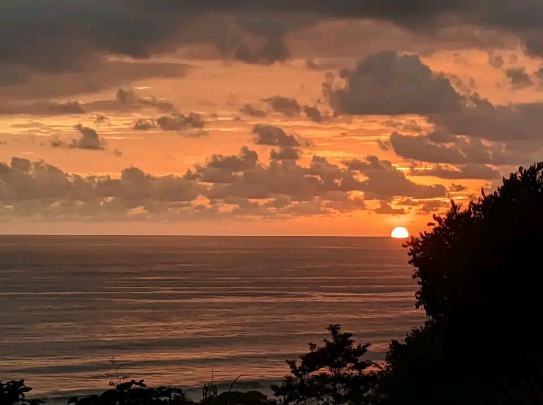 lovely Jungle Stay with Ocean View