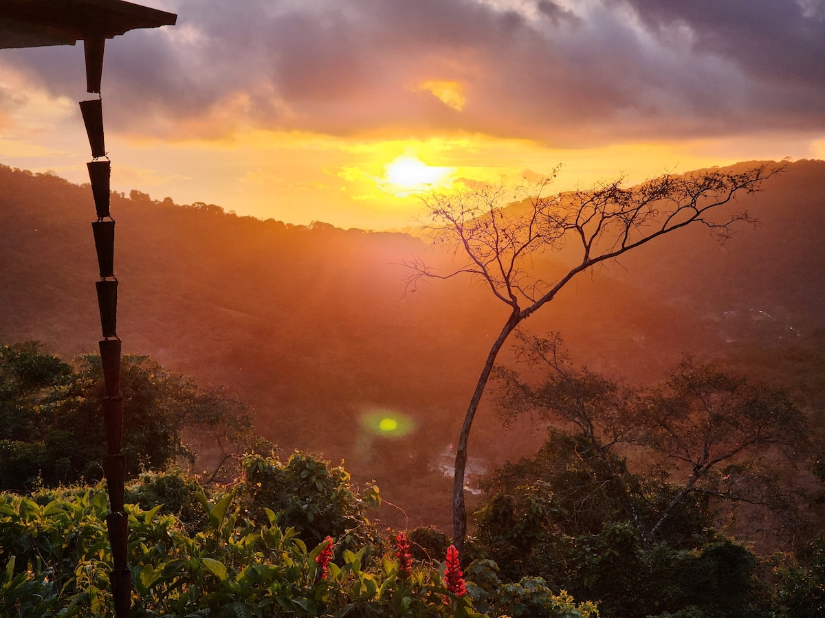 lovely Jungle Stay with Ocean View