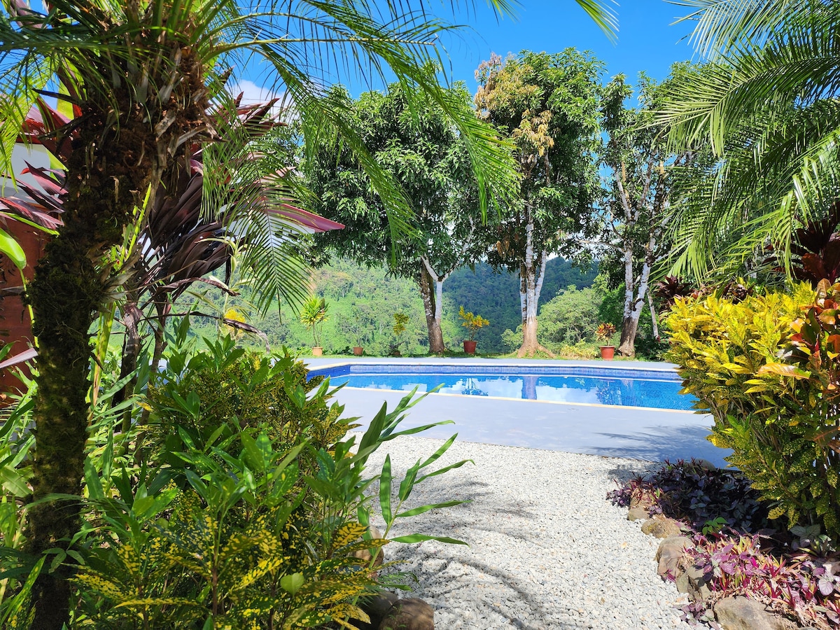 Lovely Ocean view in the Cloud forest jungle