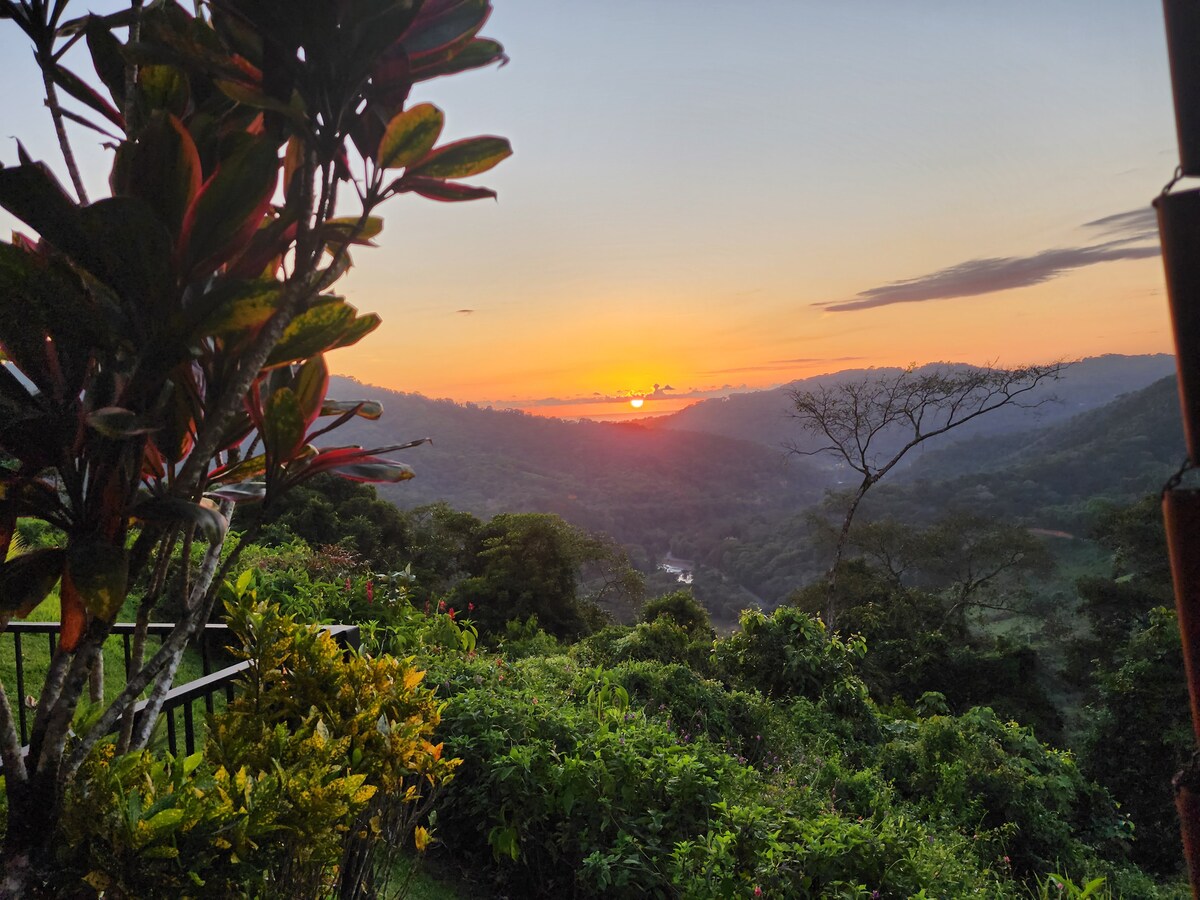 Lovely Ocean view in the Cloud forest jungle