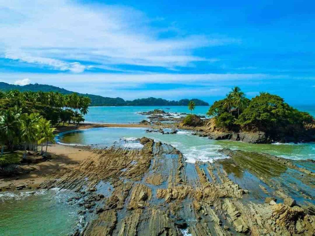 Lovely Ocean view in the Cloud forest jungle