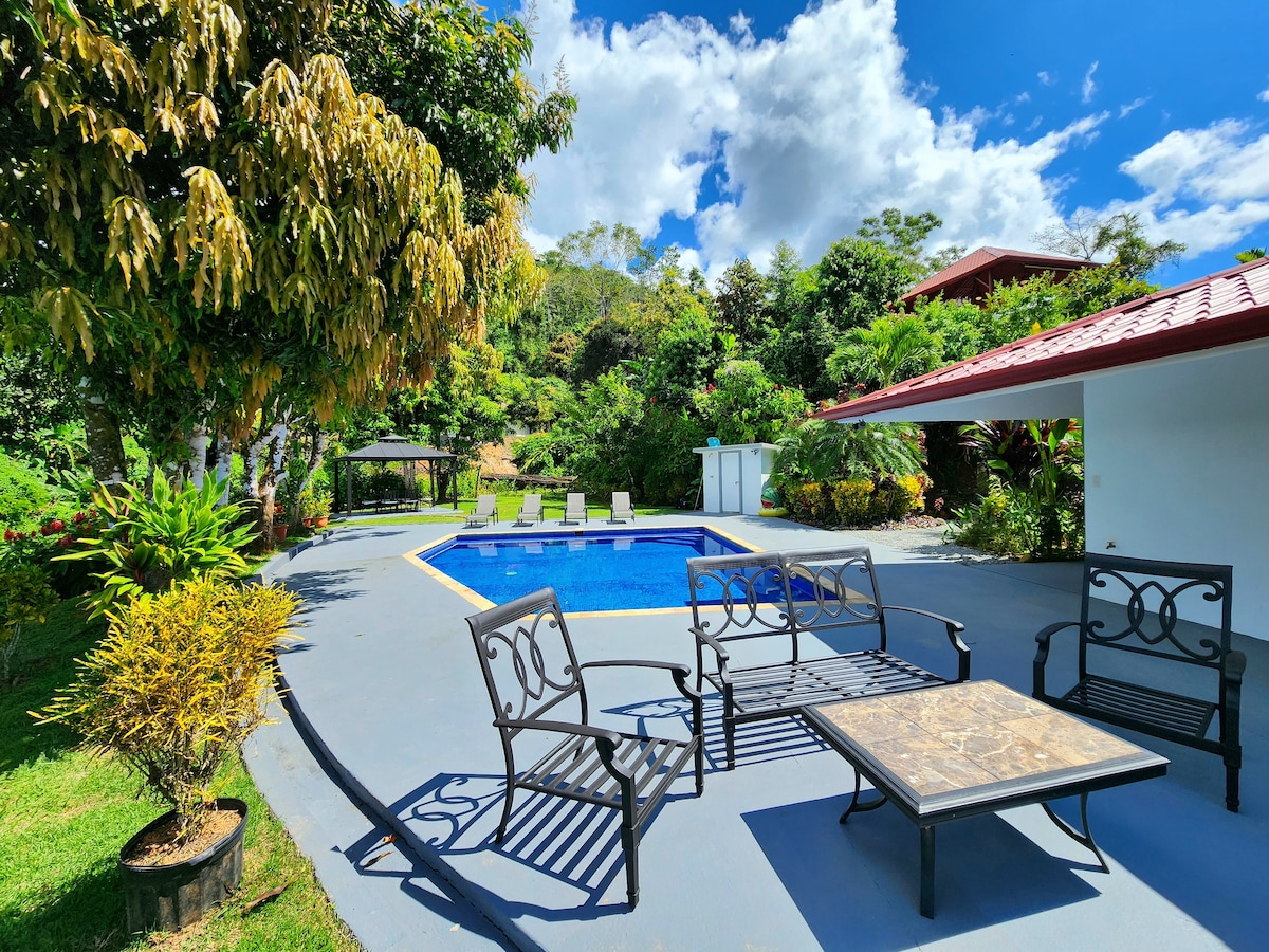 Lovely Jungle Sanctuary W/Ocean View
