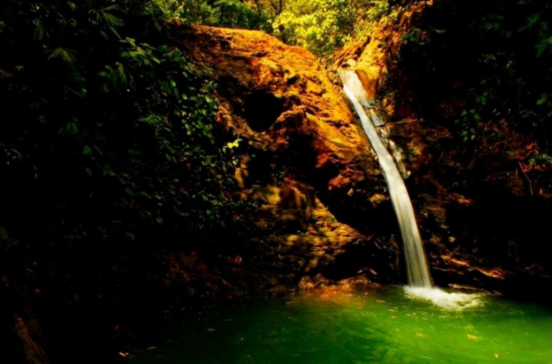 Lovely Jungle Sanctuary W/Ocean View