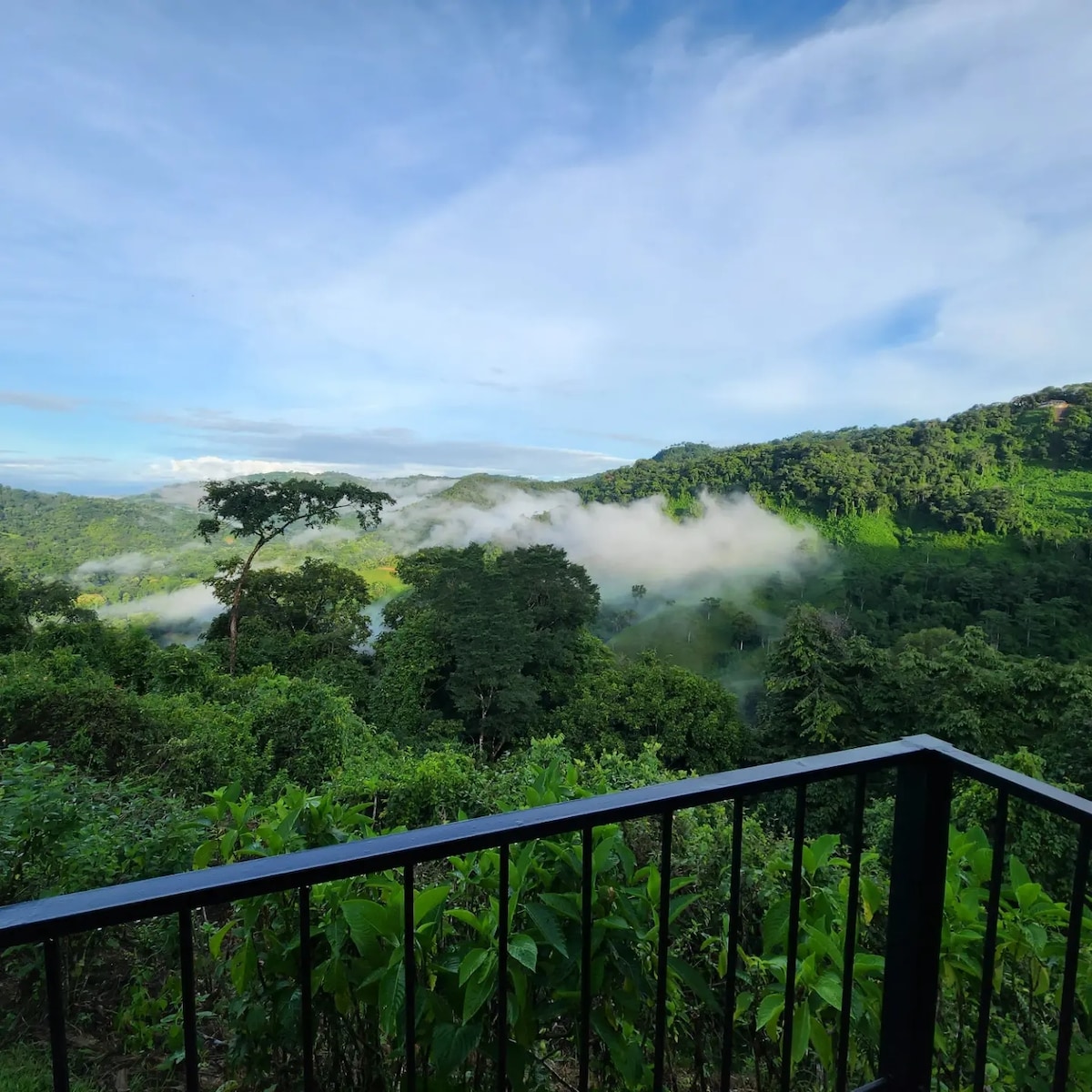 Lovely Rain forest/ocean view in the cloud forest
