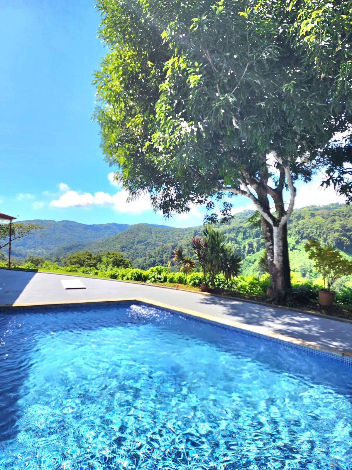 Lovely Rain forest/ocean view in the cloud forest