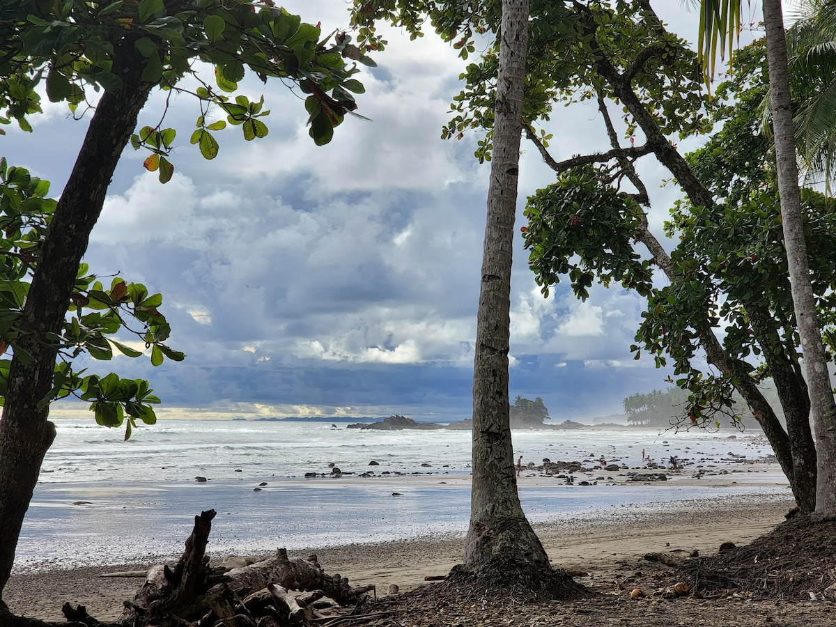 Lovely Rain forest/ocean view in the cloud forest