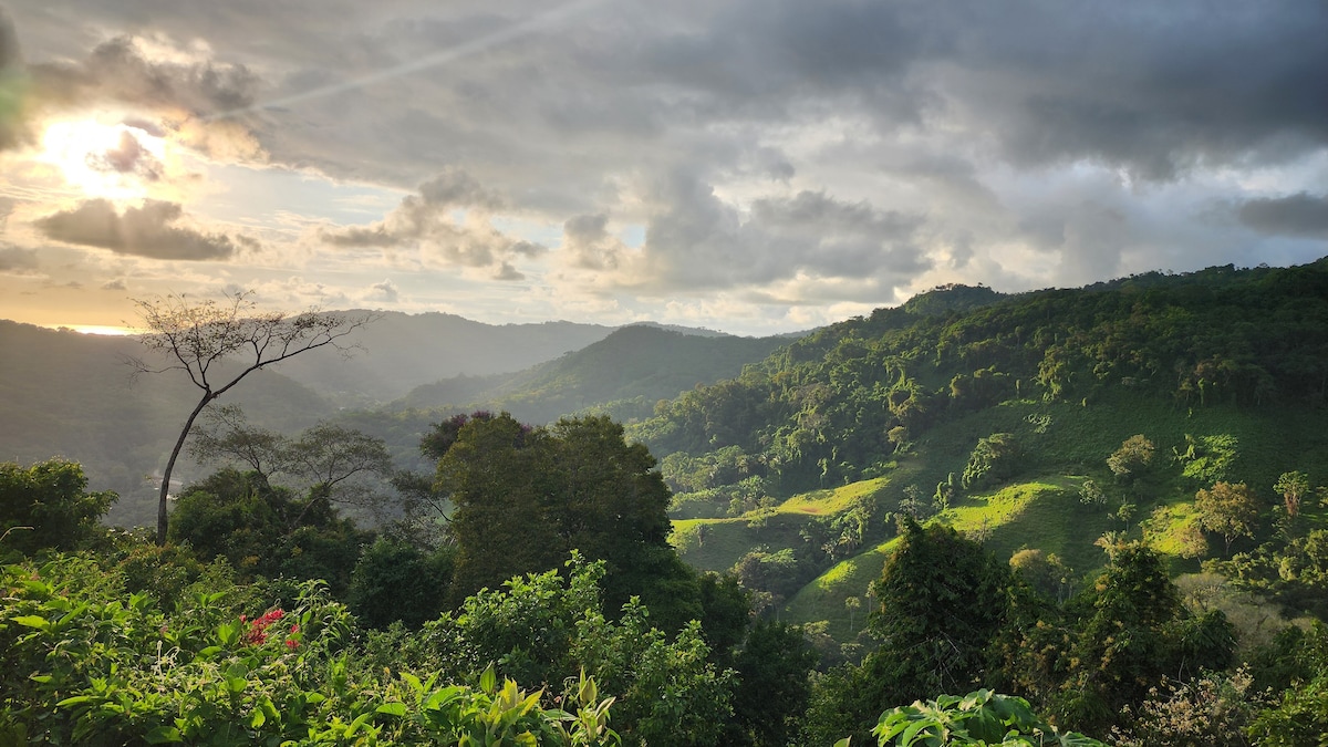 Lovely Cloud Forest Stay with Ocean Views
