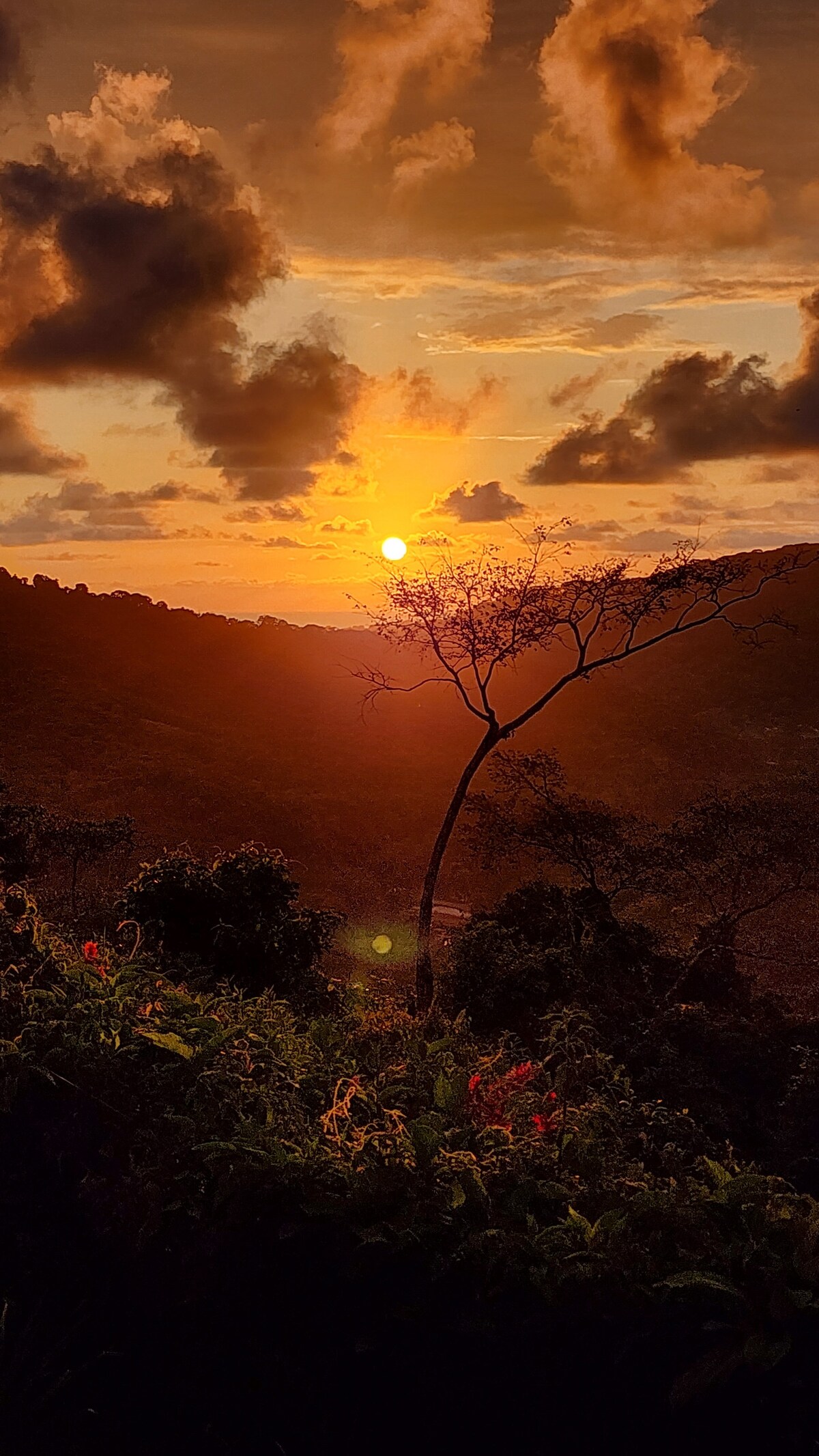 Lovely Cloud Forest Stay with Ocean Views